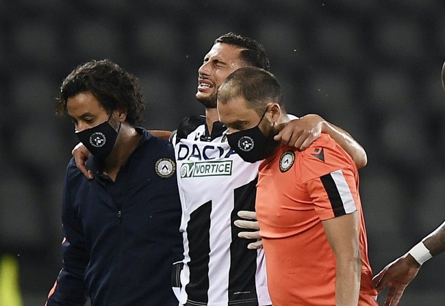 赛季的希望 赛季的希望