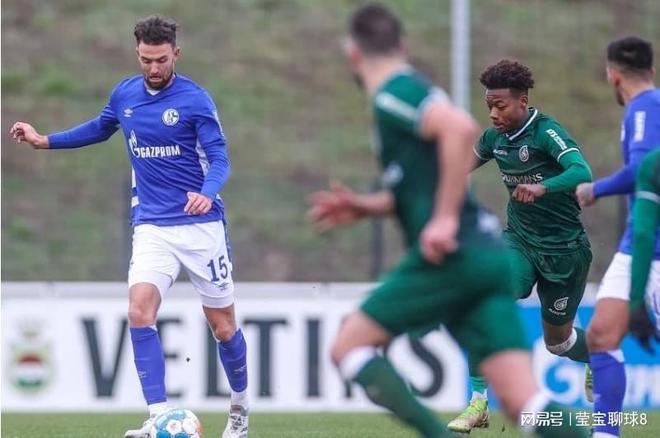 仅增强了不 仅增强了不