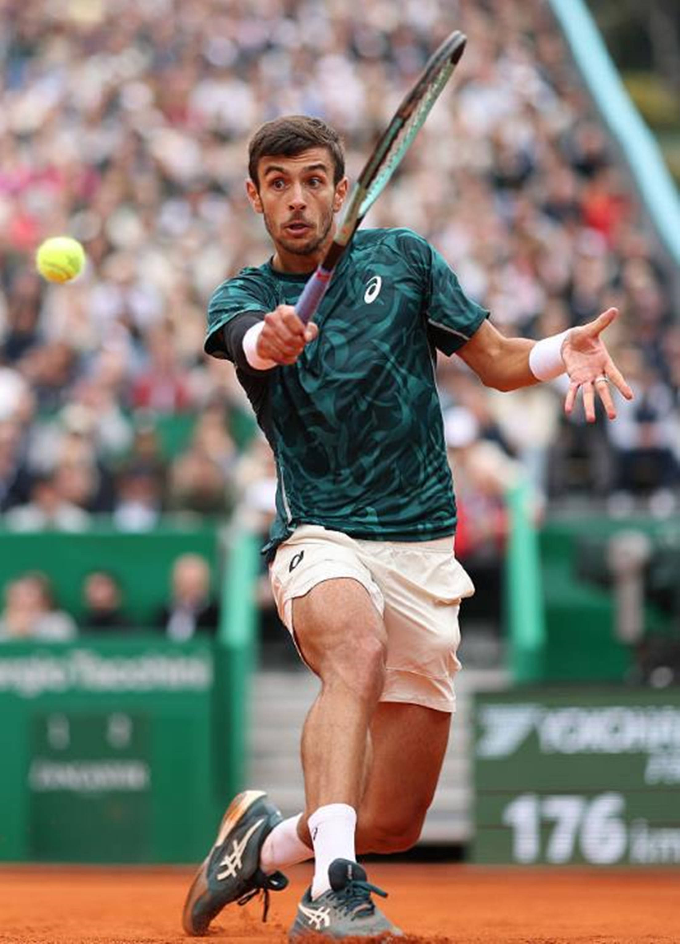 了众多球迷 了众多球迷