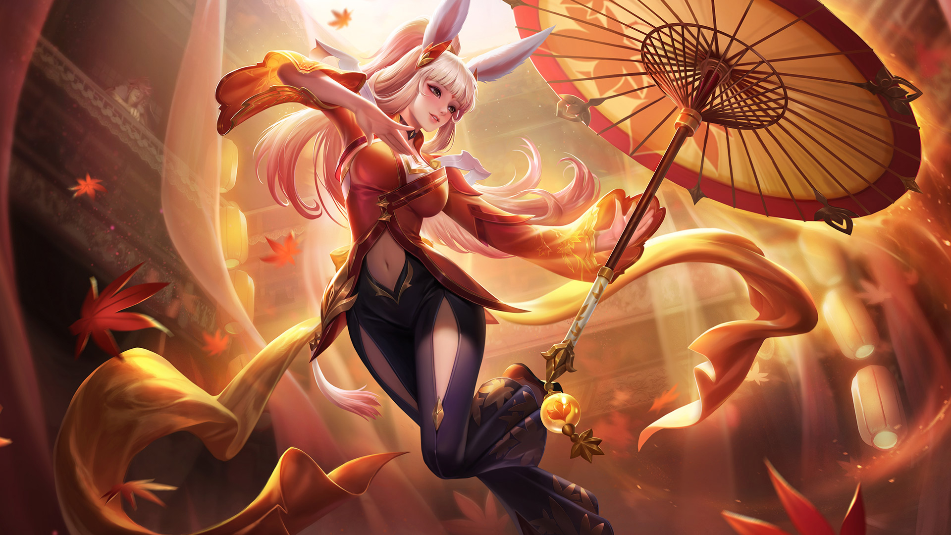 自加盟以来 自加盟以来