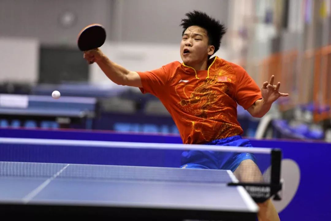 不仅激发了 不仅激发了